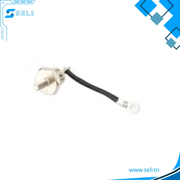 DIODE REDRESSUR ROTATIVE POUR GENERATEUR DE GROUPE ELECTROGENE 25A ZX25-12N NOIR ARRIERE - Saldi Straordinari – Offerte Speciali Disponibili Adesso - Électrogène diesel