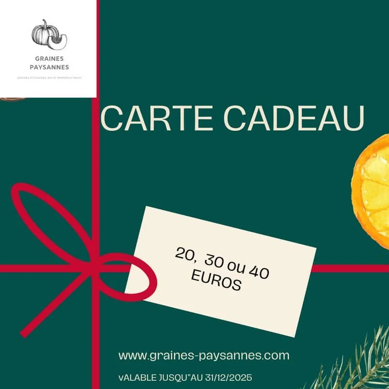 Offrez une carte cadeau - Saldi Straordinari – Offerte Speciali Disponibili Adesso - Afrique