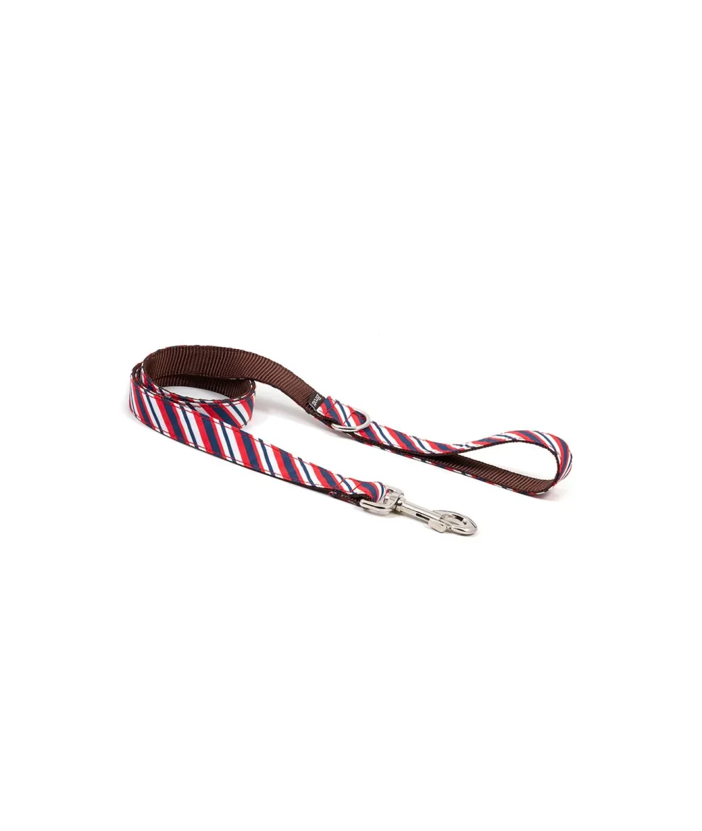 Laisse pour chien inconvénients Calella - Saldi Straordinari – Offerte Speciali Disponibili Adesso