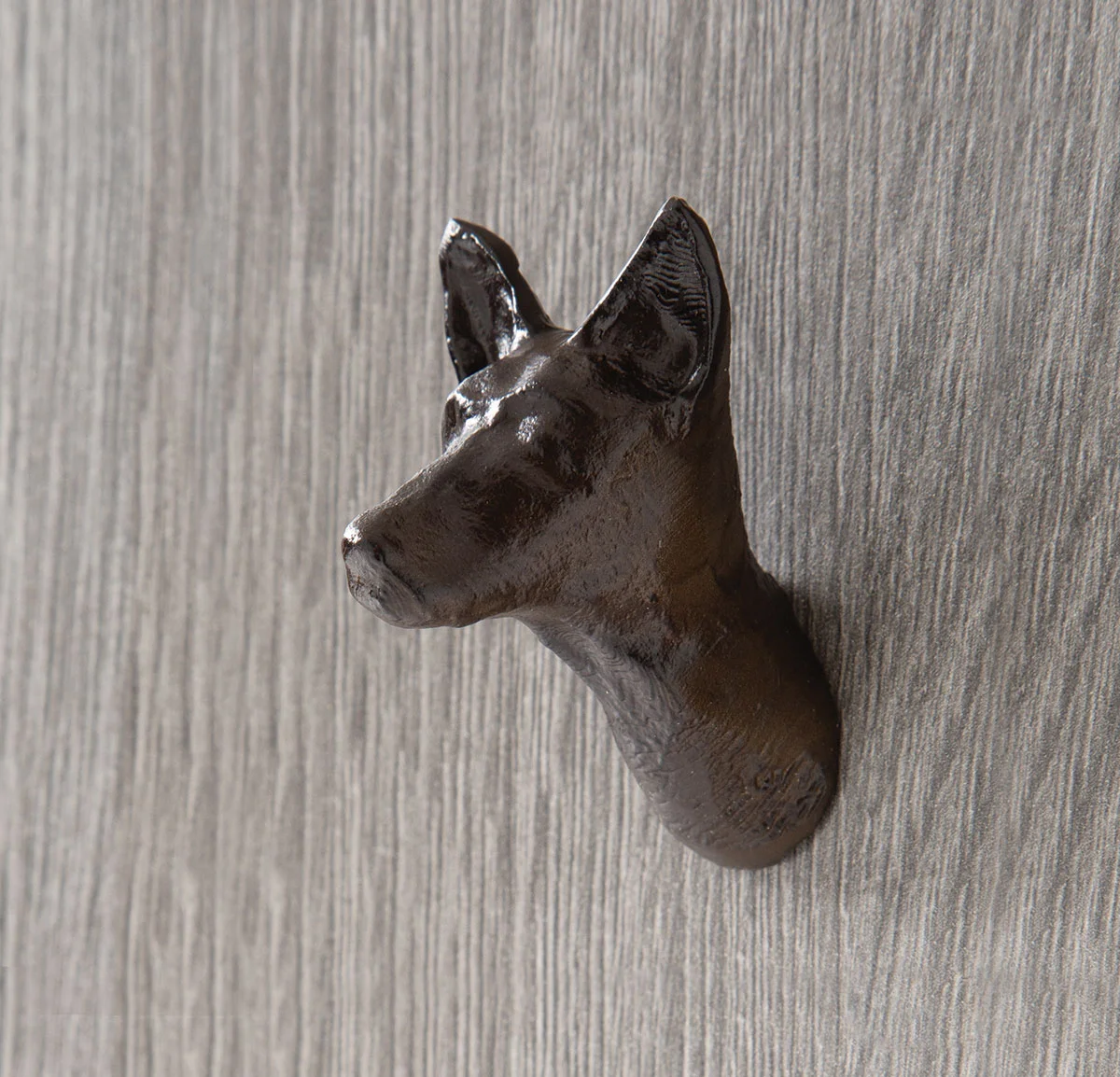 Boutons de tirage Chien - Guide Organisation de la maison avec des solutions de rangement