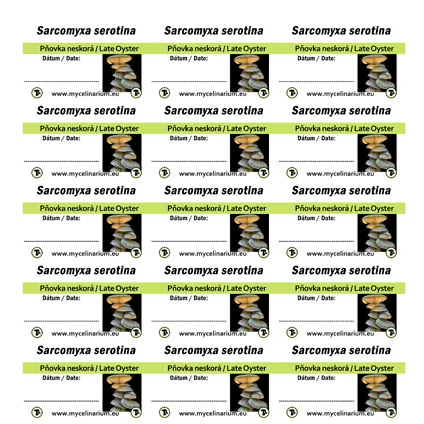 Labels pcs mm serotina Pňovka pravá mukitake Saldi Straordinari Offerte Speciali Disponibili Adesso