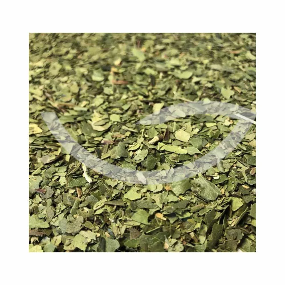 Plante Médicinale Arbousier – Arbutus Unedo – Feuille coupée – 100g - ​Boulangerie-Pâtisserie | Pain au Levain & Viennoiseries​ Absinthe Chinoise - Artemisia annua - Bio - La Serre Ô Délices :)