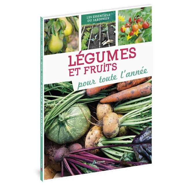 Légumes et fruits pour toute l’année - Équipements Outdoor pour Activités en Pleine Nature ALIMENTS À COUPER ÉCO-RESPONSABLES Les légumes - PLAN TOYS