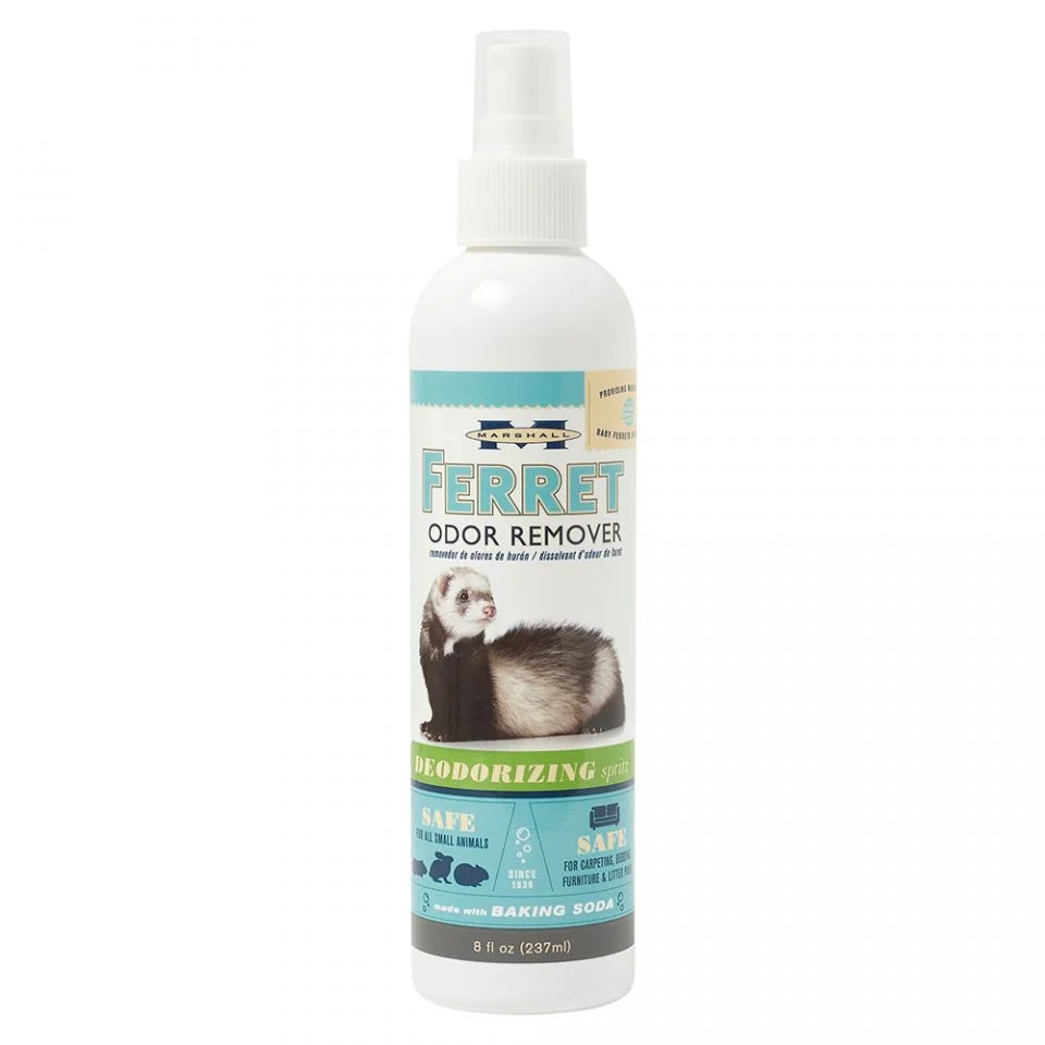 Vaporisateur pour Éliminer les Odeurs pour Furets, 237ml – Marshall - Saldi Straordinari – Offerte Speciali Disponibili Adesso Vaporisateur pour plantes d'intérieur FUCHSIA jaune 0,7 L | Truffaut