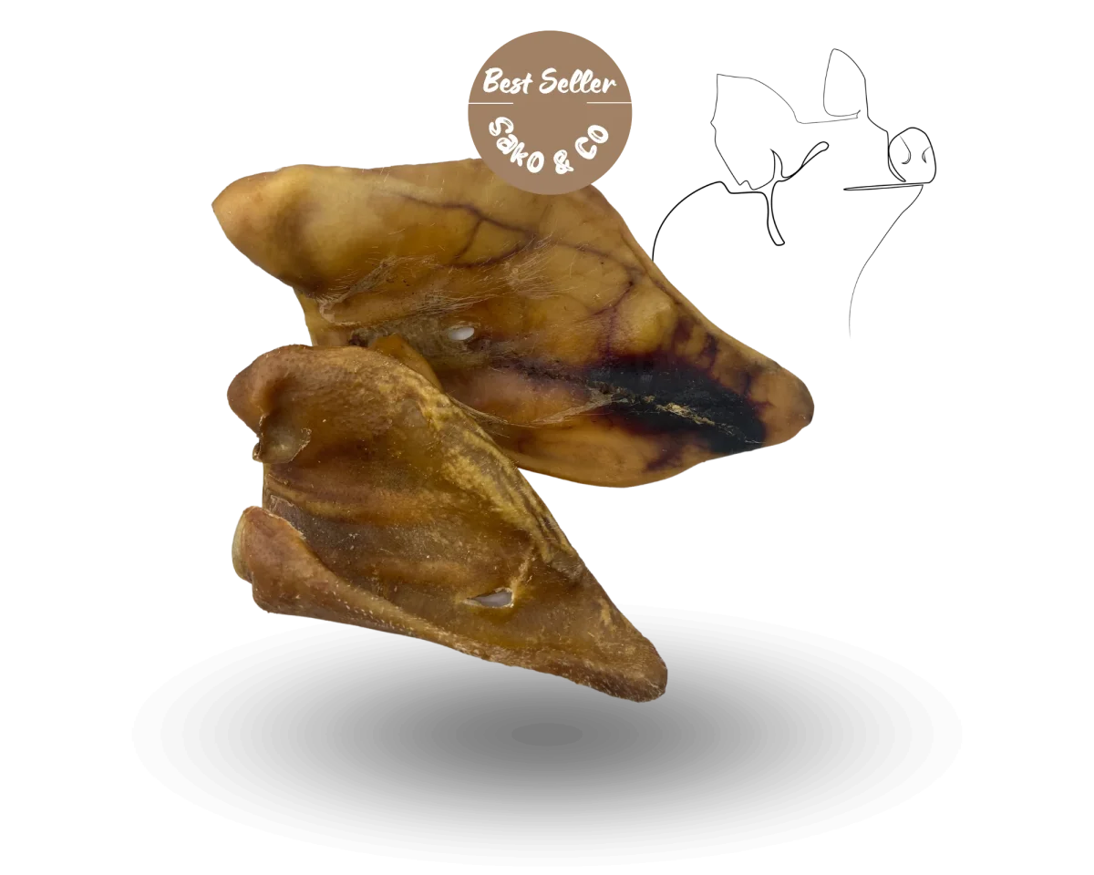 Oreille pattes de Porc - Saldi Straordinari – Offerte Speciali Disponibili Adesso