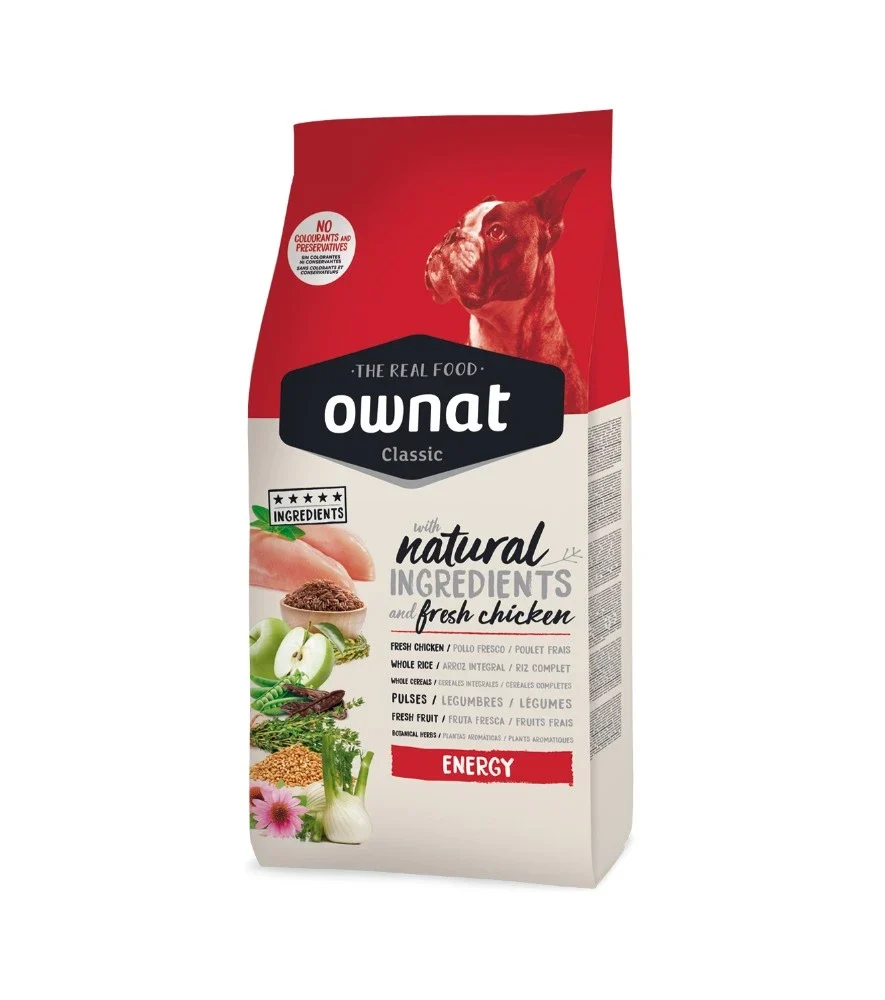 OWNAT Classic Energy - E-shop mondial – Produits durables, modernes et accessibles partout Build My Energy - 30 Dissolveable Tablets - Energy Bird