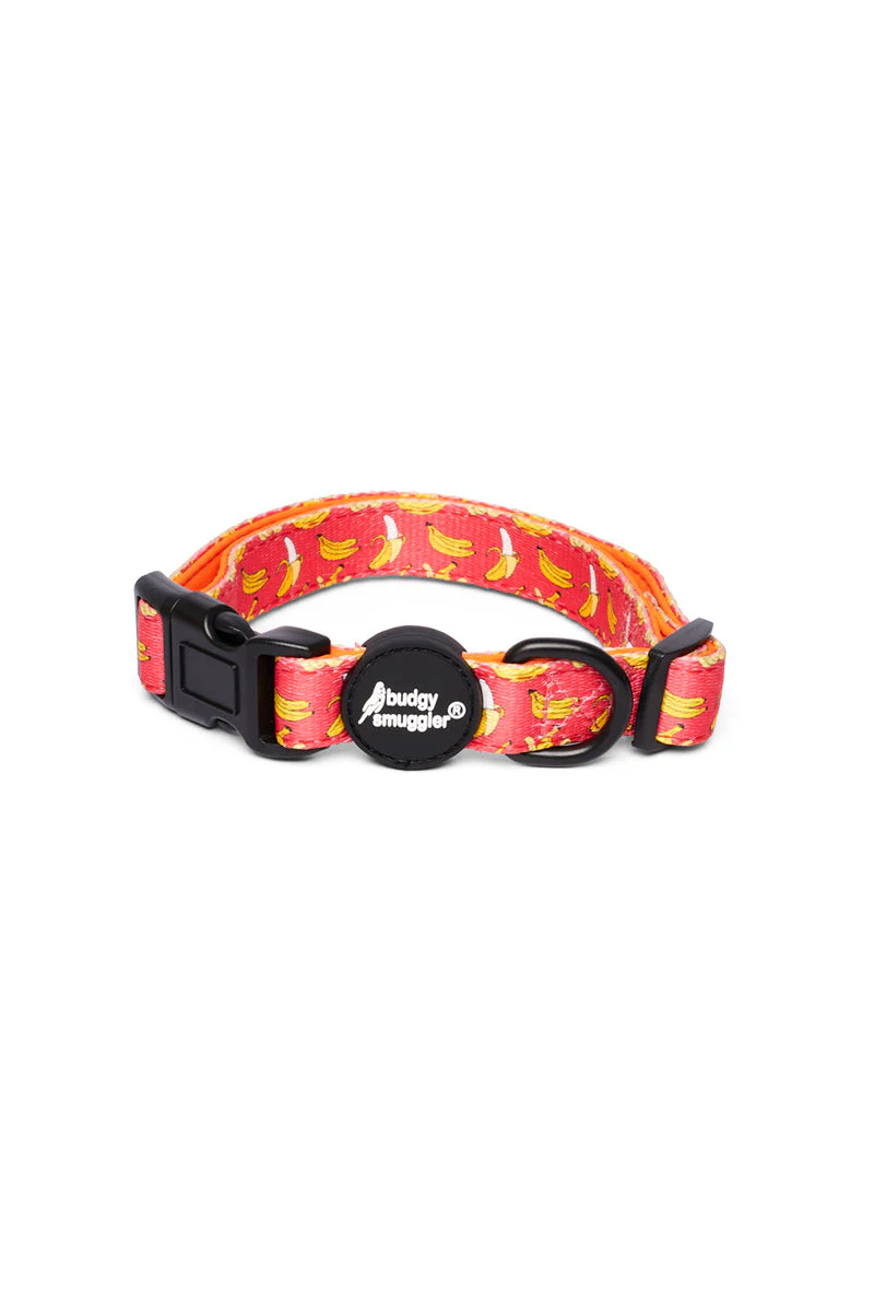 Collier pour Animaux en Bananes - E-shop cœur mondial – Produits durables, modernes et accessibles partout