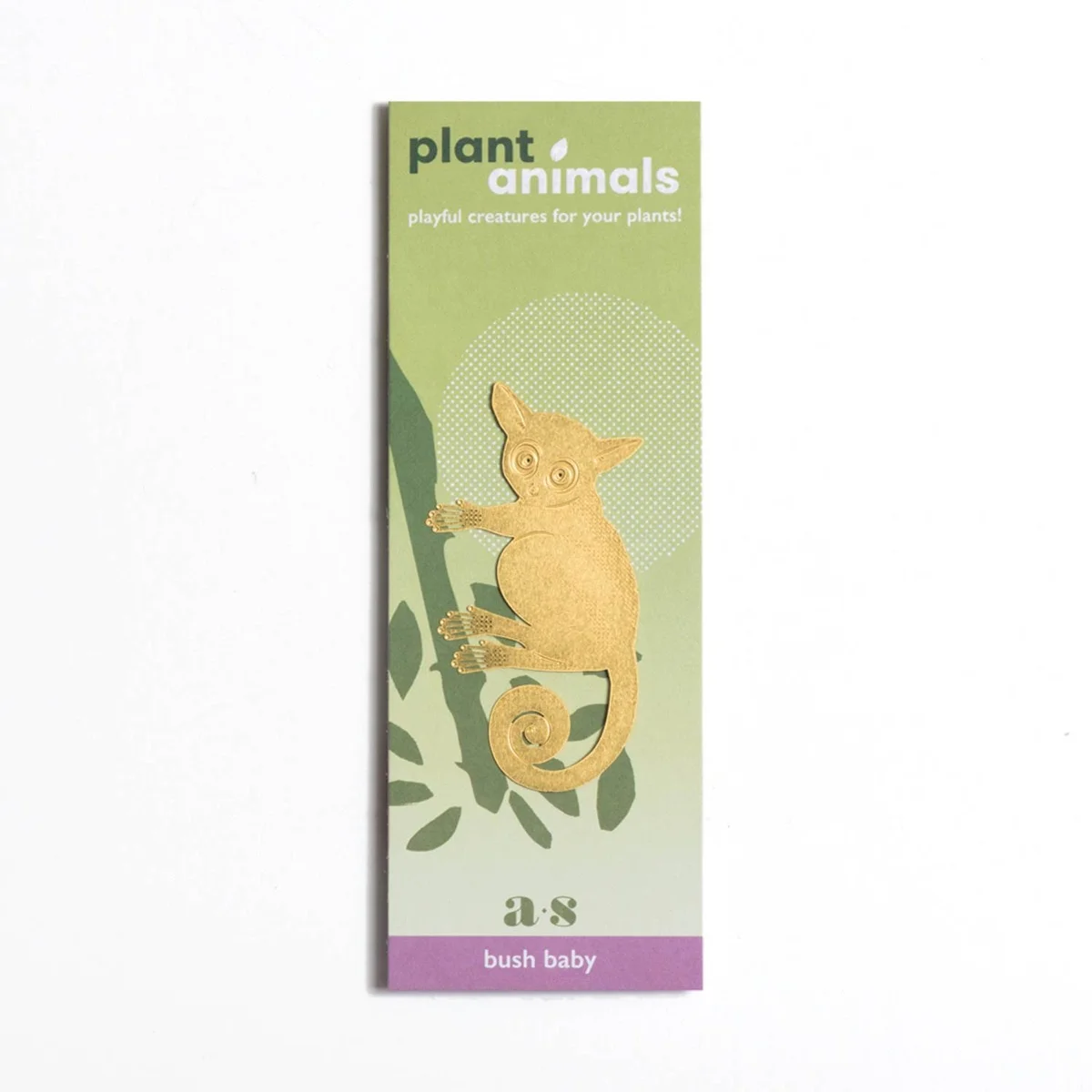 Bijou de Plante Bush Baby - Organisation de la maison avec des solutions de rangement DIY : fabriquez un rangement à bijoux mural pour moins de 15 euros !