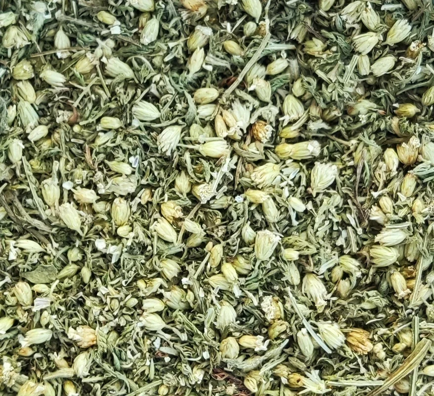 Yarrow (Achillea Millefolium) | Η Βιοδυναμική μας Καλλιέργεια - Saldi Straordinari – Offerte Speciali Disponibili Adesso - Botano