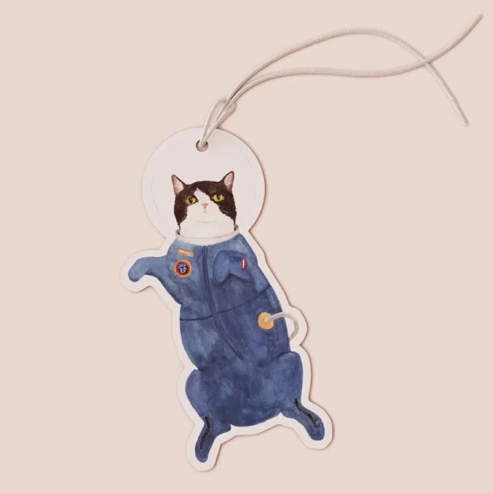 Space Cat Organisation maison solutions rangement