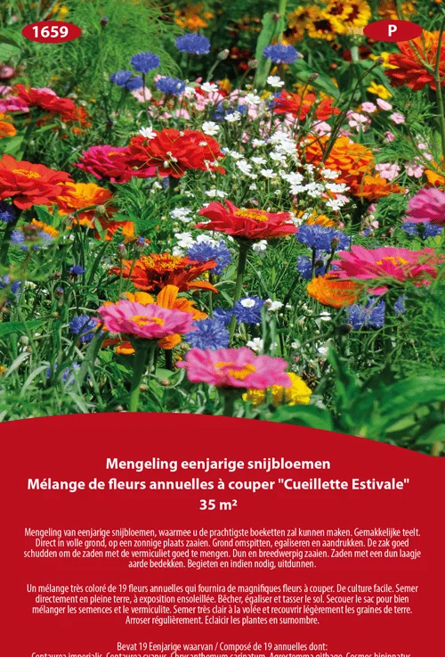 Mélange de fleurs annuelles à couper Cueillette Achetez Estivale 35m² - Saldi Straordinari – Offerte Speciali Disponibili Adesso