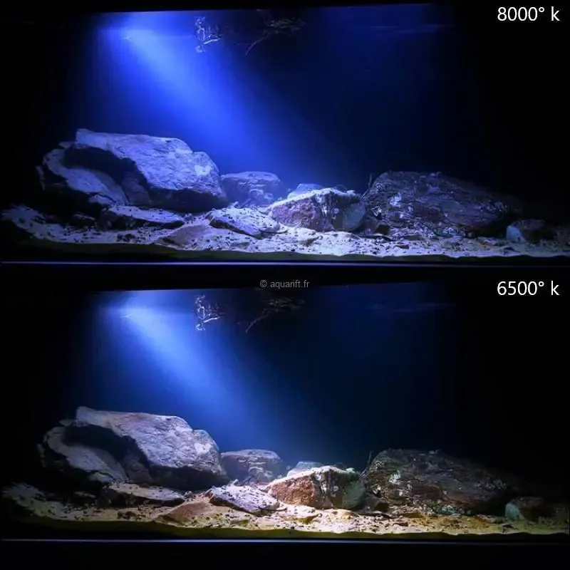 Projecteur spot LED aquarium couleurs faisceaux réglable ​Drones Professionnels Grand Public Boutique Française