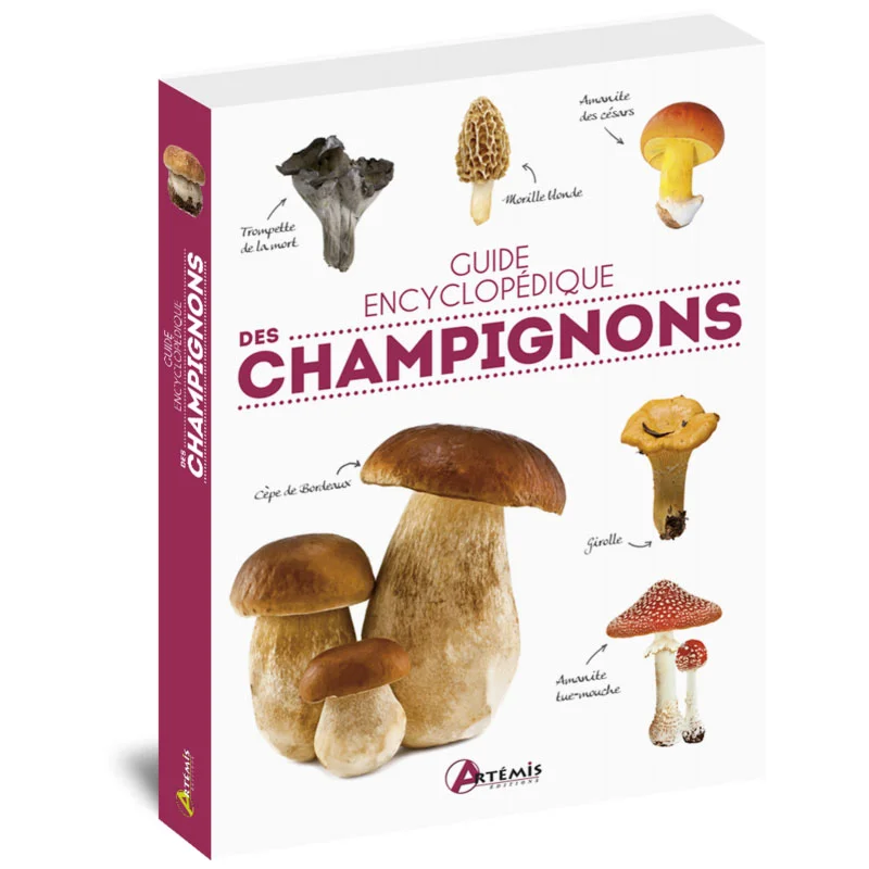 Guide encyclopédique des champignons - Équipements Outdoor pour Activités en Pleine Nature Pack complet d'inspiration Montessori sur le thème du champignon