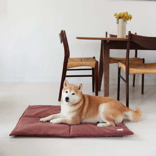 Tapis de Voyage Monsieur Hardi - Confort Nomade pour Votre Chien - Saldi Straordinari – Offerte Speciali Disponibili Adesso Tapis pour Chien | Fraîcheur, Hygiène & Voyage - Puppy Pacha