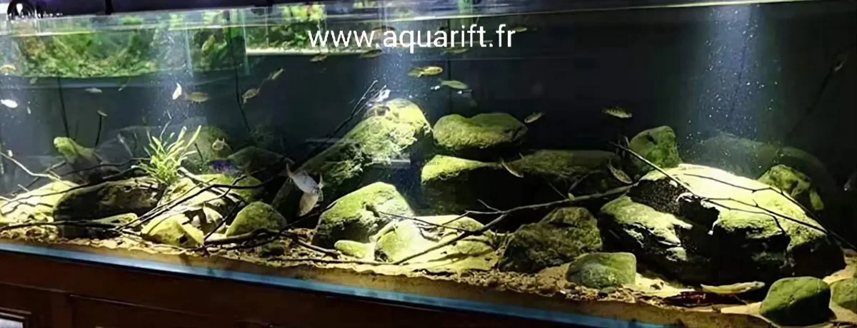 Eclairage Spot Amazon.fr LED Samsung applique aquarium - ​Drones Professionnels & Grand Public | Boutique Française