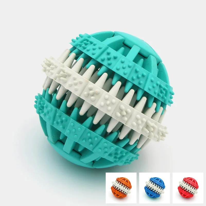 Balle dentaire chien jouet dents Saldi Straordinari Offerte Speciali Disponibili Adesso