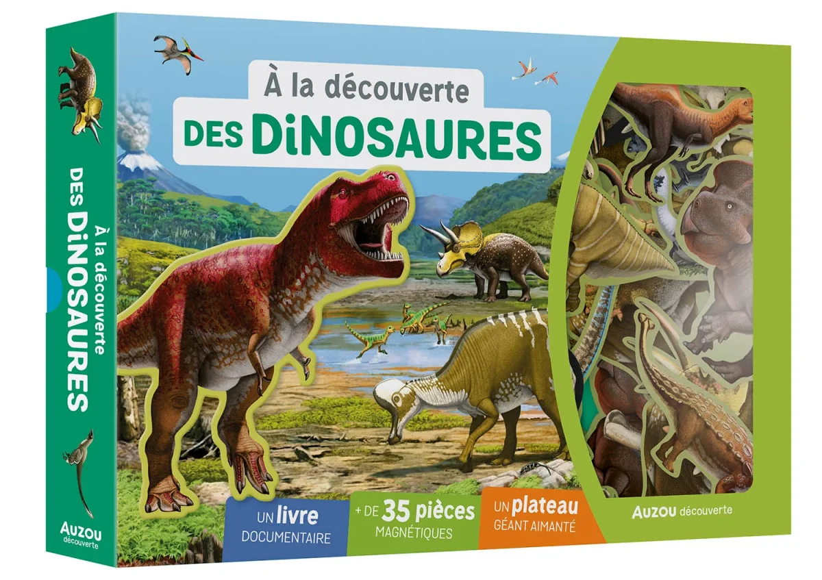 Mon coffret aimanté - À La Découverte des dinosaures - Saldi Straordinari – Offerte Speciali Disponibili Adesso Coffret éducatif À la découverte des Dinosaures – Boutique LeoLudo