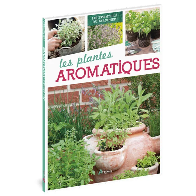 Plantes aromatiques - Équipements Outdoor pour Activités en Pleine Nature Le jardinage en tant qu'activité physique à part entière | Ferwer