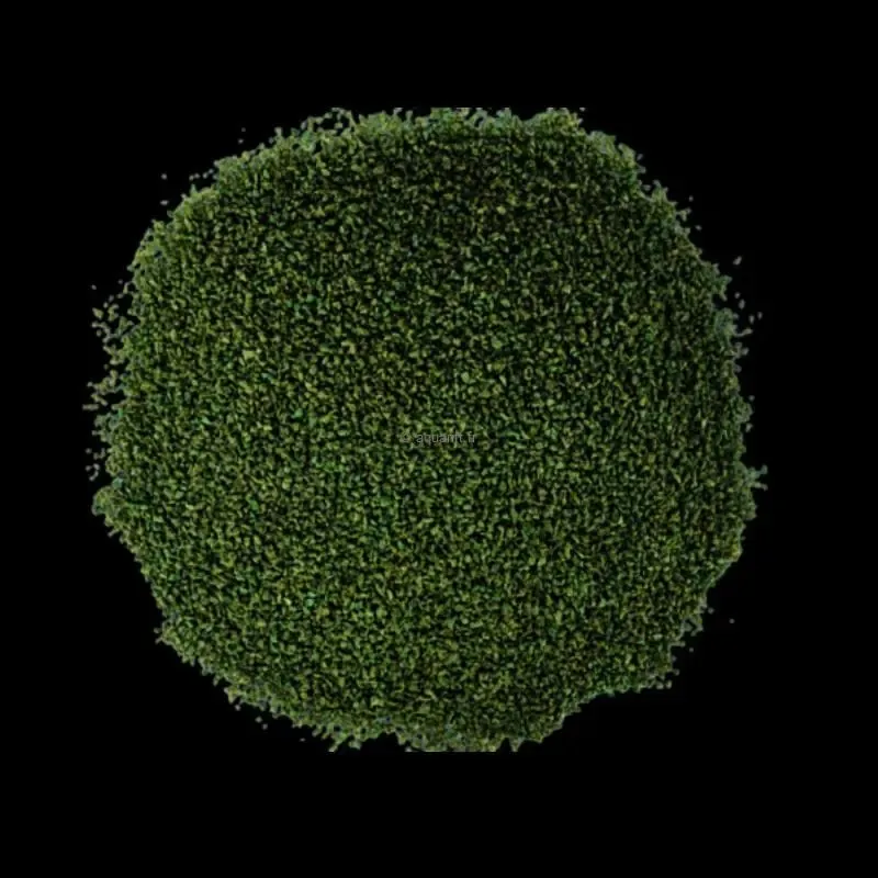 Breeder algues poissons herbivores kg ​Drones Professionnels Grand Public Boutique Française
