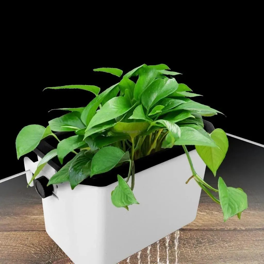 Bac de filtration aquaponique pour plantes émergées en aquarium hydroponique aquaponie - ​Drones Professionnels & Grand Public | Boutique Française​ Aquaponie autonettoyante, aquarium, écosystème intérieur, plantes,  réservoir propre, pot de fleurs symbiotique| Alibaba.com