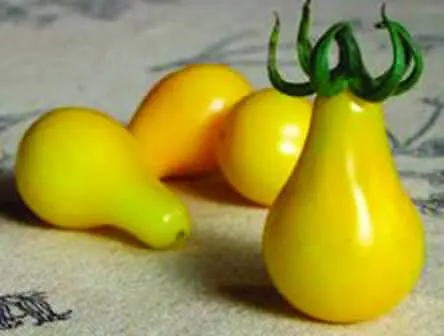 Tomate Poire Jaune - Vins Every Rouges Harmonieux pour Chaque Occasion