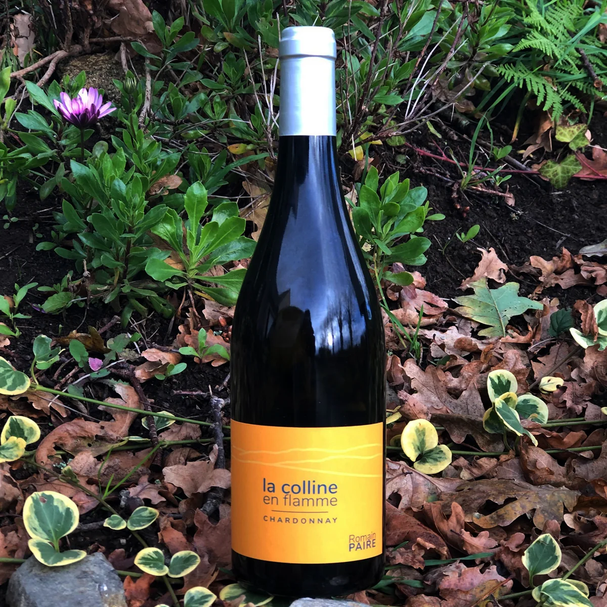 DP02 - La Colline - B - Saldi Straordinari – Offerte Speciali Disponibili Adesso La Colline, nouveau lieu d'hébergement pour les mères isolées - La  Métropole de Lyon