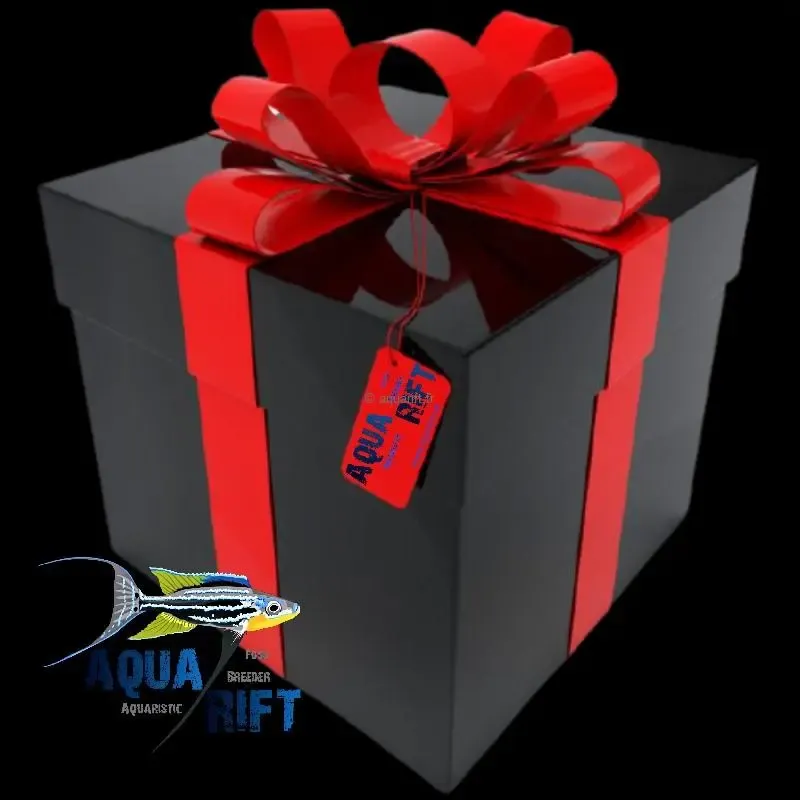 Carte Cadeau AQUARIFT - Rewards ​Drones Professionnels & Grand Public | Boutique Française