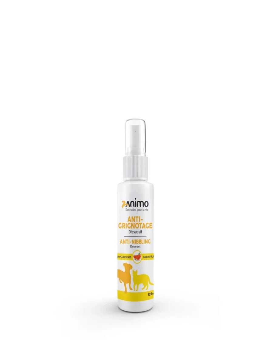ZANIMO - Anti grignotage - Saldi Straordinari – Offerte Speciali Disponibili Adesso En Martinique le grignotage est-il plus important qu'en métropole ?