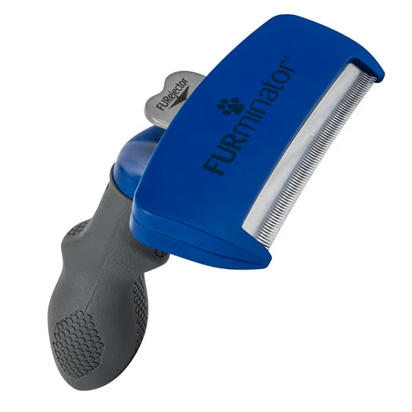 FURminator grands chiens poils courts Saldi Straordinari Offerte Speciali Disponibili Adesso