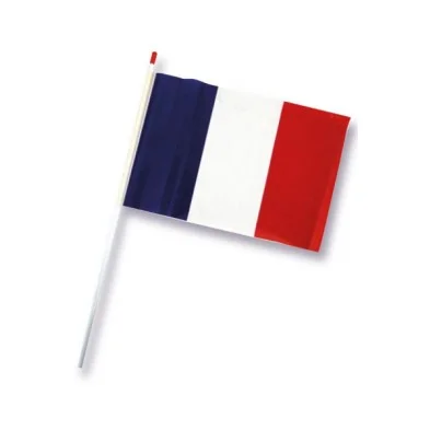 Drapeau France 50×70 cm en plastique + hampe 70cm - Organisation de la maison avec des solutions de rangement Drapeau De Table Unicolore Rouge AZ FLAG, 15x10 Cm, 100% Polyester, Hampe  25 Cm, Socle Plastique Noir, Pour Bureau, événements Et Décoration  Intérieure Décoration Bureau événement