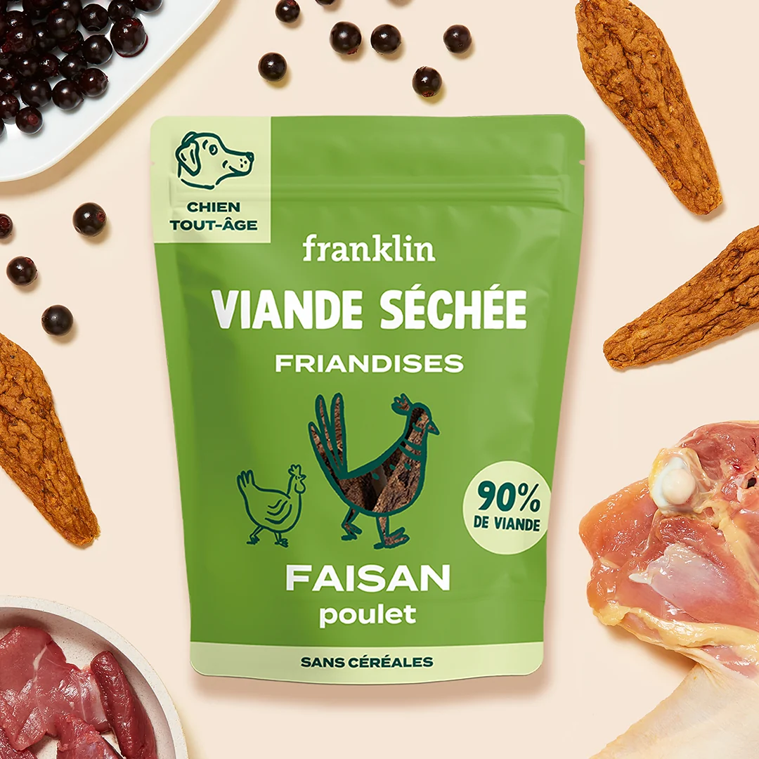 FAISAN SÉCHÉ - Saldi Straordinari – Offerte Speciali Disponibili Adesso - faisan oiseau