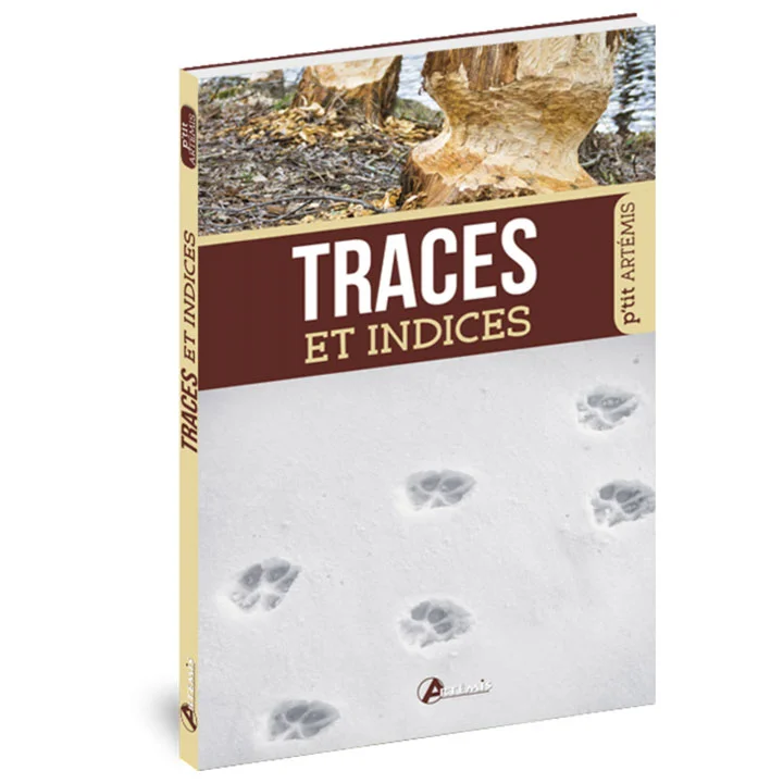 Traces et indices - Équipements Outdoor pour Activités en Pleine Nature Microtraces: Objectifs Pédagogiques et Réponses - Cours de Police  Scientifique - Studocu