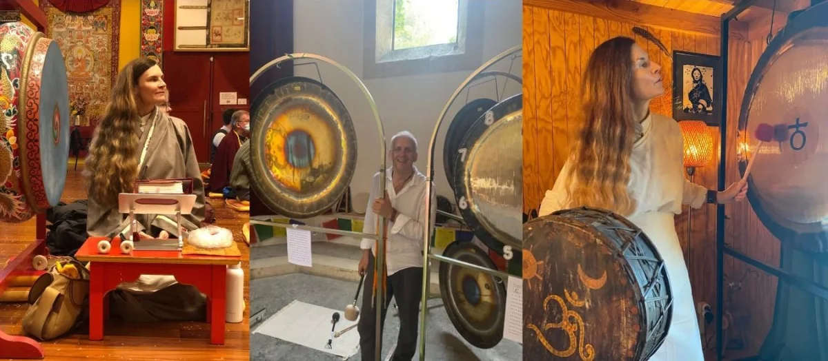 RETRAITE GONG TAMBOUR CHAMANIQUE Vins Rouges Harmonieux Occasion