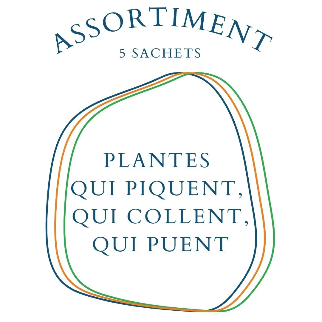 Assortiment Plantes qui piquent, qui collent, qui puent - ​Boulangerie-Pâtisserie | Pain au Levain & Viennoiseries​ - viennoiseries francaises assortiment - pâtisserie pain amp viennoiseries