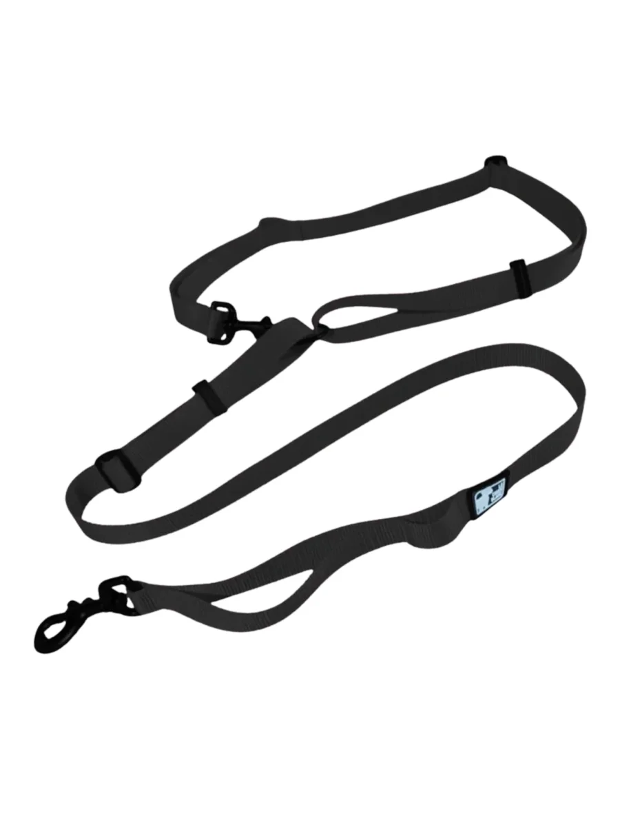 CHIEN BLANC Laisse multifonction Saldi Straordinari Offerte Speciali Disponibili Adesso