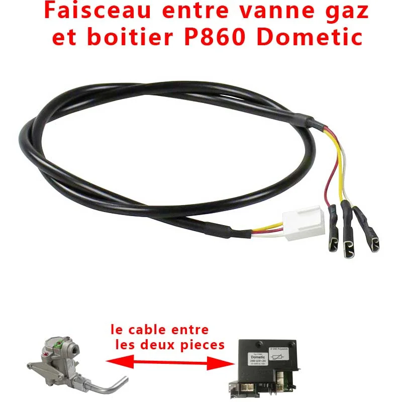 Connection cablage faisceau Shelly entre la vanne gaz (GV100) et le boitier P-860 2890241-00 ou 2890240-20 ou 2890241-24 , par Dometic - Accessoires Outdoor pour Plus de Liberté de Mouvement