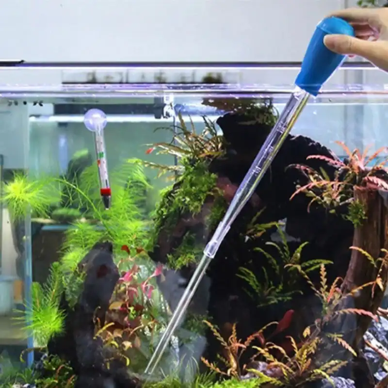 Pipette Aquarium cm Saldi Straordinari Offerte Speciali Disponibili Adesso