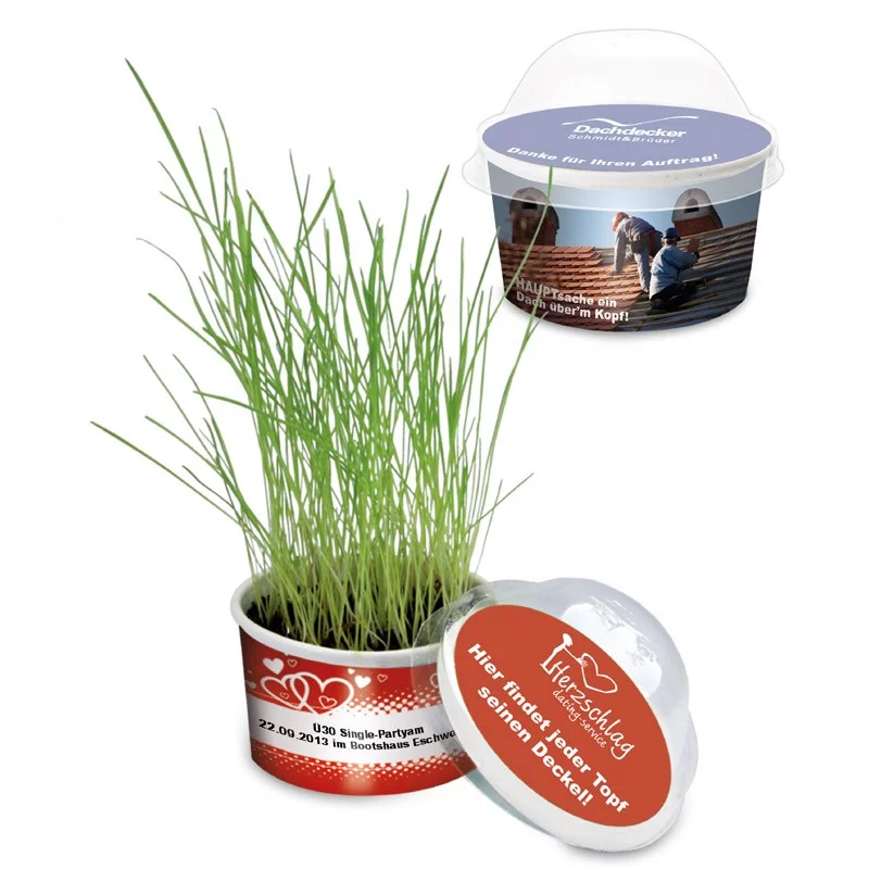 Kit de plantation dans pot avec mini-serre - Saldi Straordinari – Offerte Speciali Disponibili Adesso - Semis