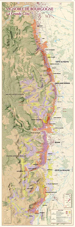 Carte des vins de Bourgogne – La Grande Côte 43×132 - Vins Cave Rouges Harmonieux pour Chaque Occasion