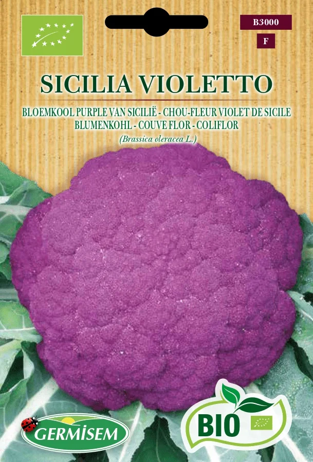 Chou-fleur violet de Sicile - Saldi Straordinari – Offerte Speciali Disponibili Adesso Fleur