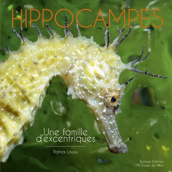 Hippocampes, UNE FAMILLE D’EXCENTRIQUES - Saldi Straordinari – Offerte Speciali Disponibili Adesso Comment le bassin de Thau protège son hippocampe moucheté - Les Echos