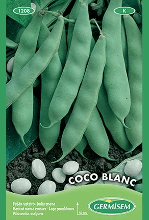Haricot nain à écosser précoce Coco Blanc - Saldi Straordinari – Offerte Speciali Disponibili Adesso - Variete