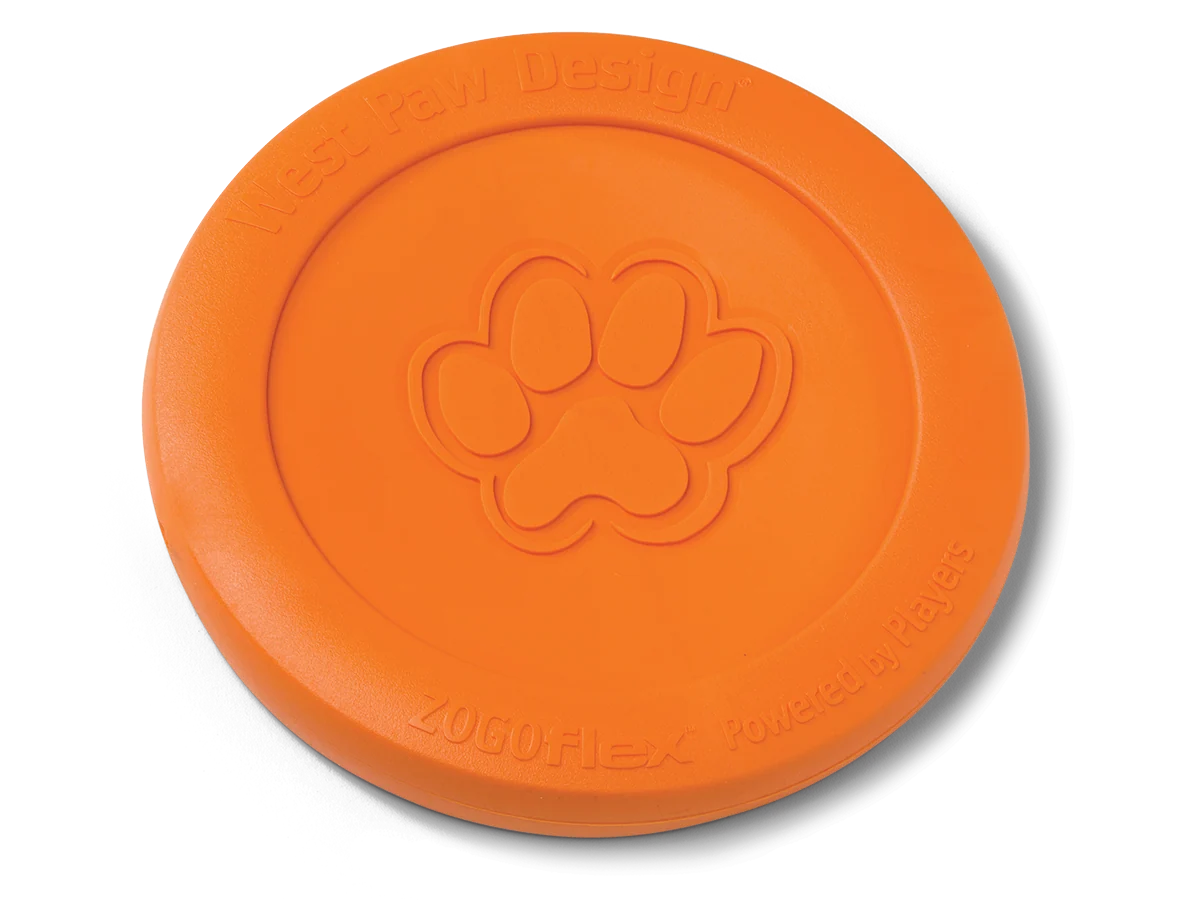 Frisbee chien Zisc Saldi Straordinari Offerte Speciali Disponibili Adesso
