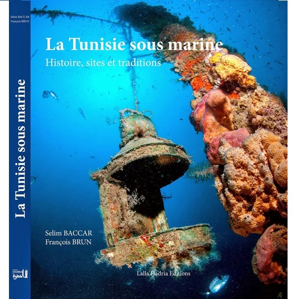 La Tunisie sous-marine - Saldi Straordinari – Offerte Speciali Disponibili Adesso EN IMAGES. Que faisait ce sous-marin nucléaire d'attaque dans le port de  Cherbourg ?