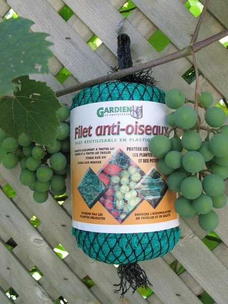 Filet anti-oiseaux Gardien Protecteur ​Boulangerie Pâtisserie Pain Levain Viennoiseries