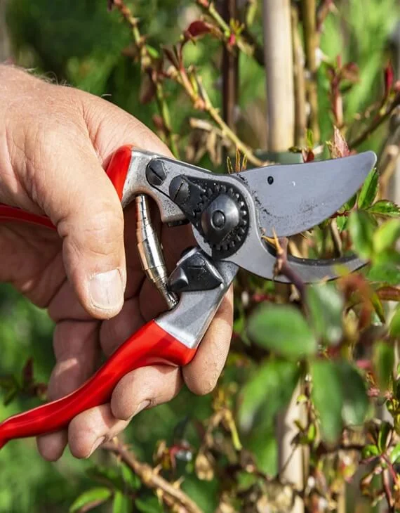 Sécateur Felco Vins Rouges Harmonieux Occasion