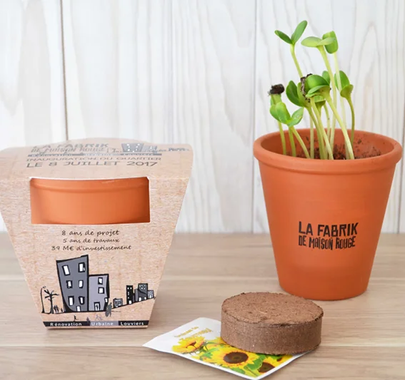 Kit de plantation publicitaire, pot en terre cuite Ø 10 cm - Vins Rouges Harmonieux pour Chaque Occasion - {'count': 1, 'name': 'Terre'}
