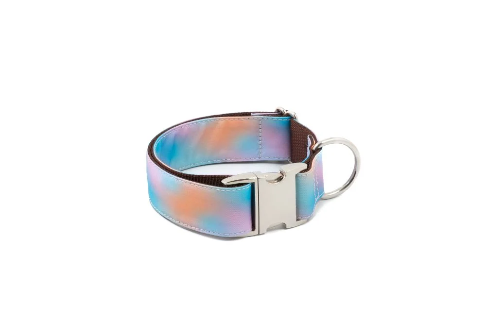 Collier pour chien Mora - Saldi Straordinari – Offerte Speciali Disponibili Adesso - collier scooby doo chien