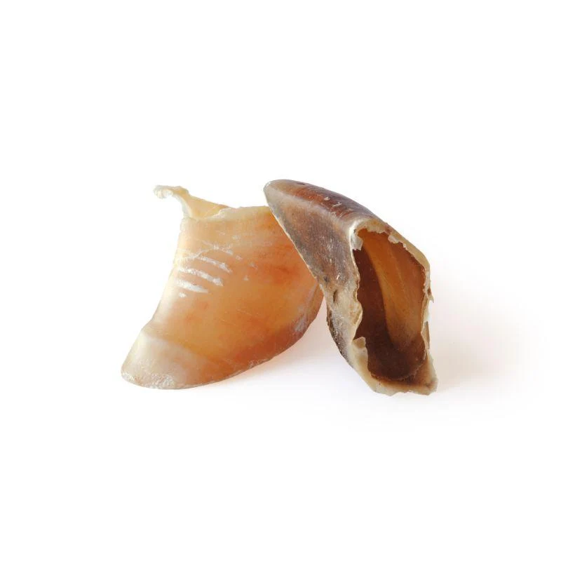 Sabot de Veau (vrac) - Saldi Straordinari – Offerte Speciali Disponibili Adesso - sabot chien sabot veau vrac