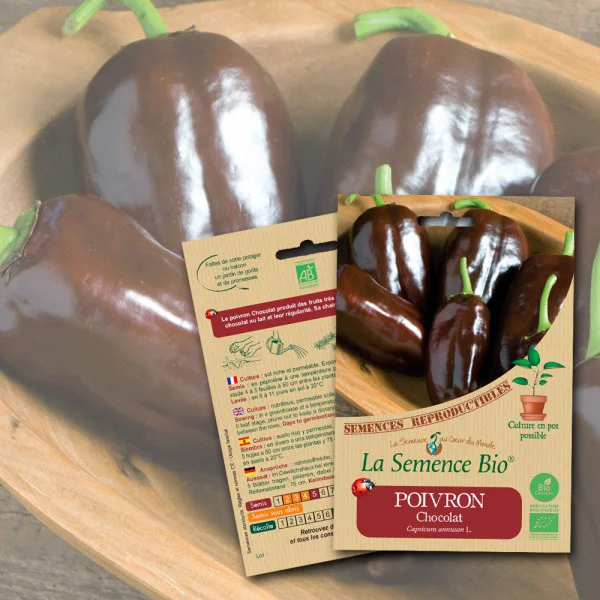 Poivron Chocolat Bio La Semence Bio - Vins Rouges Harmonieux pour Chaque Occasion POIVRON Mandarine | Semences biologiques
